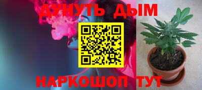 PSILOCYBIN Гусев