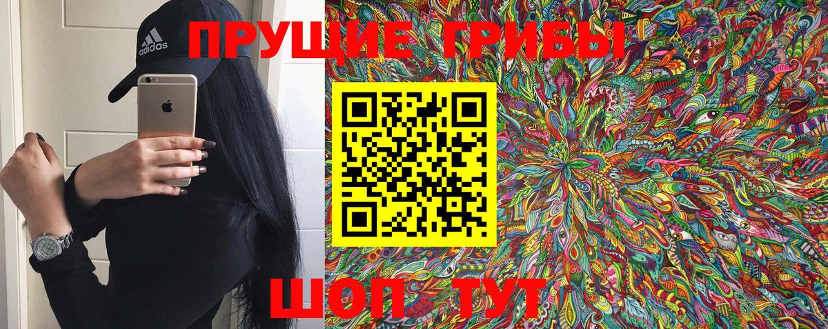 Галлюциногенные грибы прущие грибы  Псилоцибиновые грибы Psilocybe  Вход с VPN  Моздок 